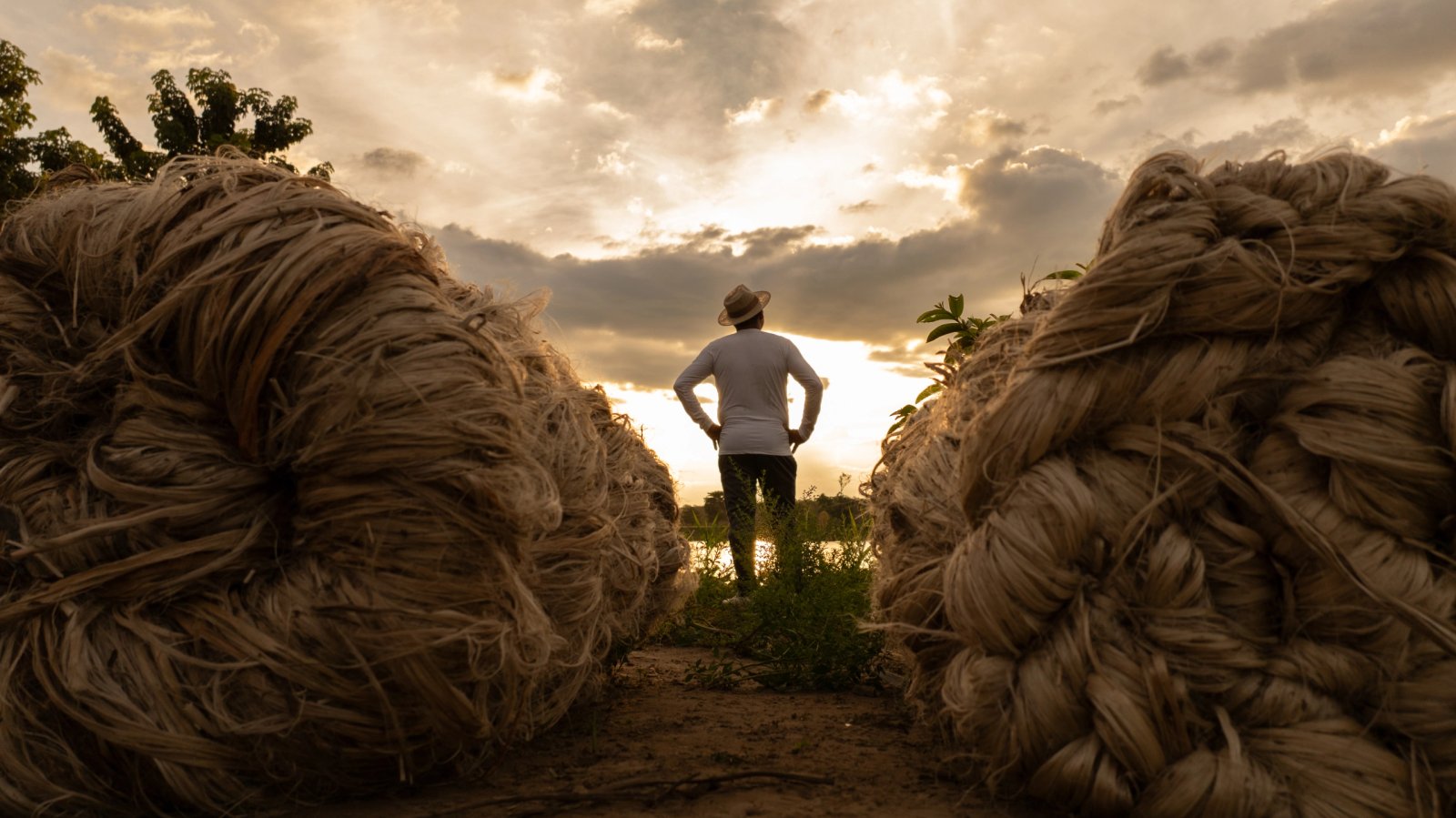 Imagem Institucional